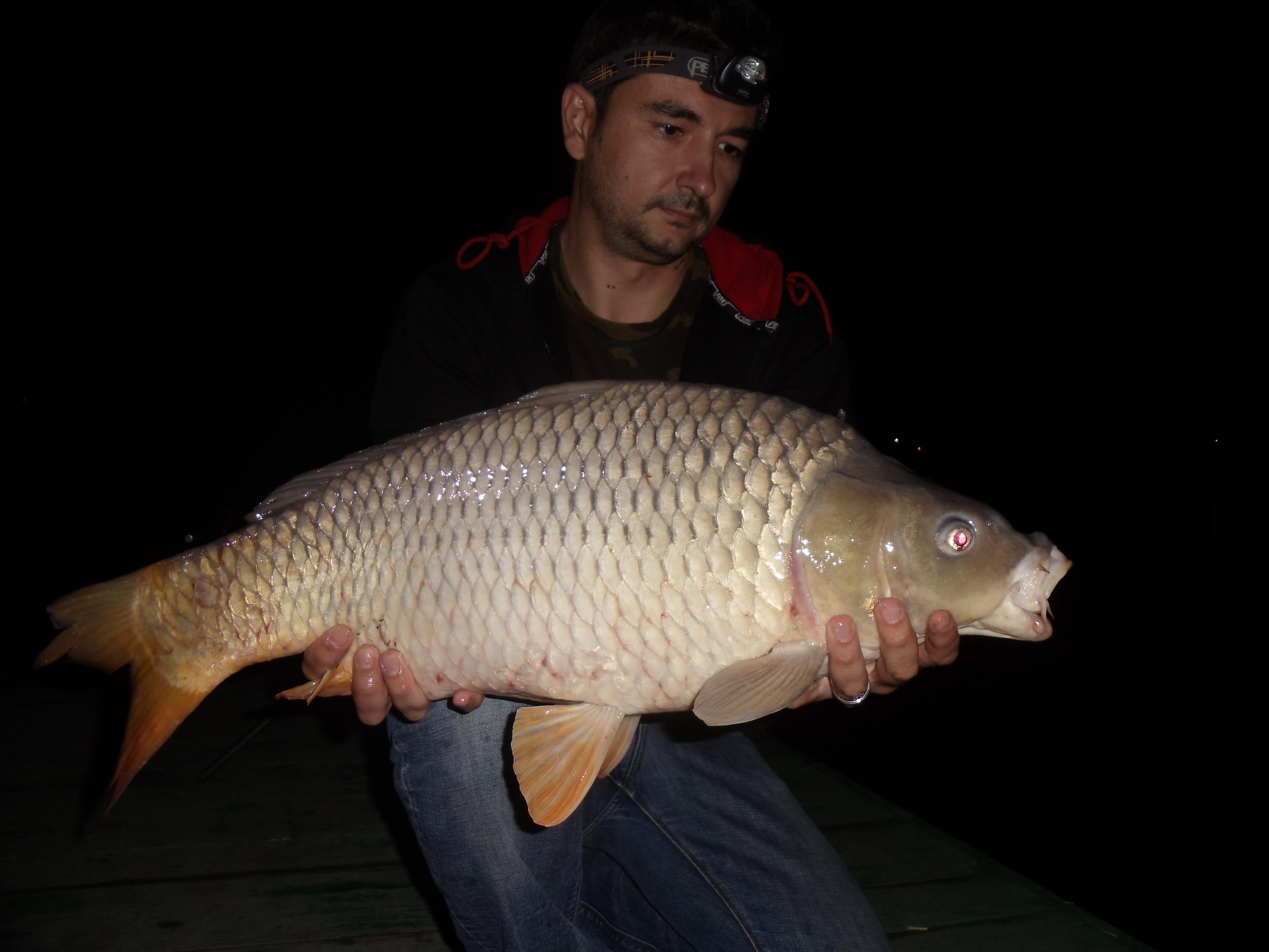 Moara Vlasiei 2012 - MV2.jpg